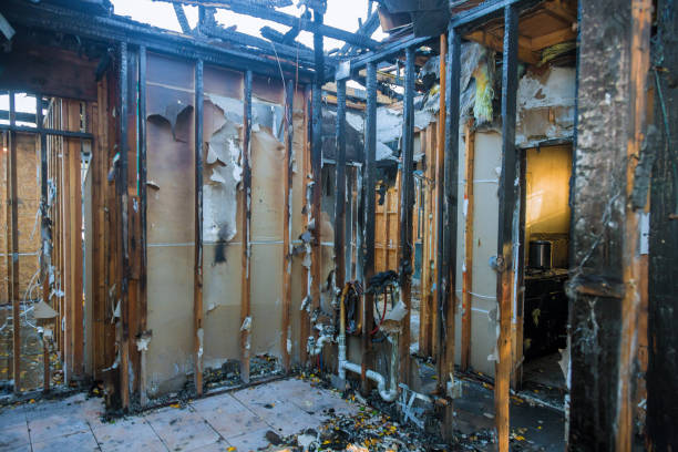 Professional Fire Damage Assessment technician working in Salado, TX